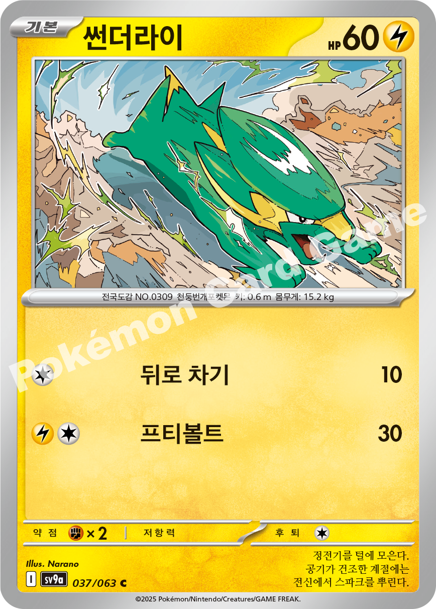 썬더라이