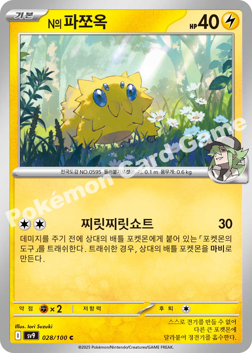 N의 파쪼옥