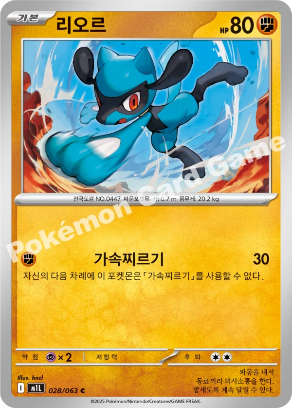 리오르