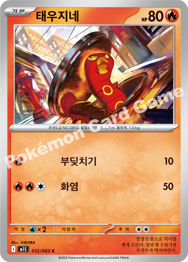 태우지네