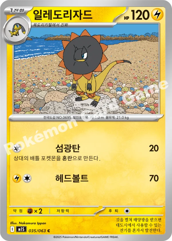 일레도리자드