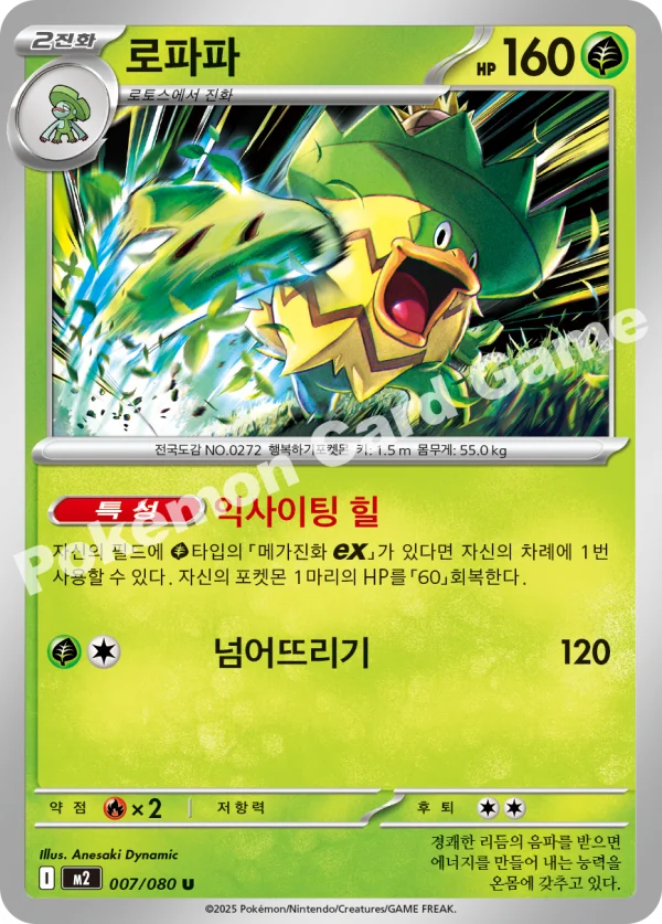 로파파