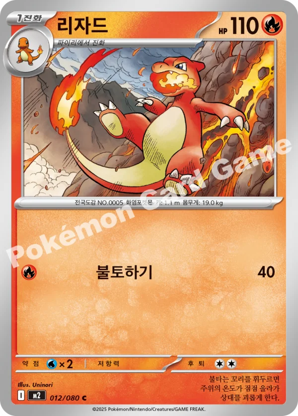 리자드