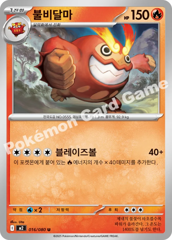 불비달마