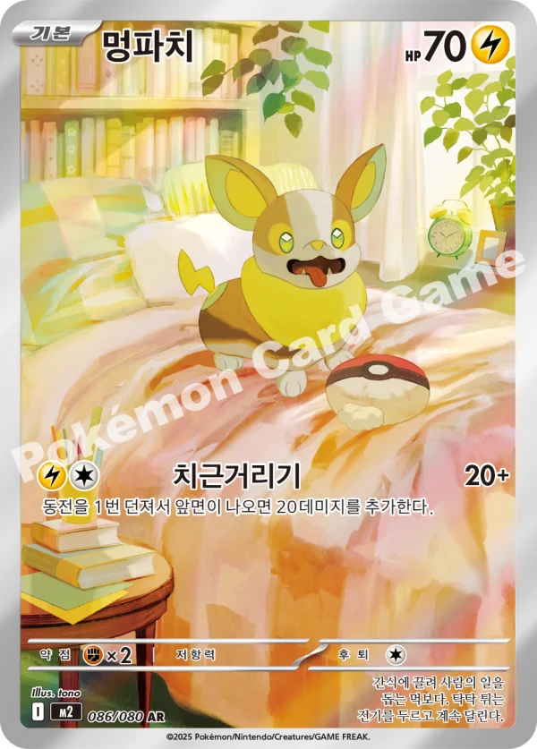 멍파치