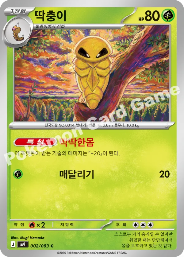 딱충이