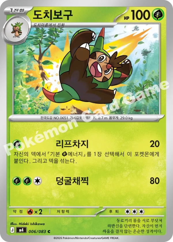 도치보구
