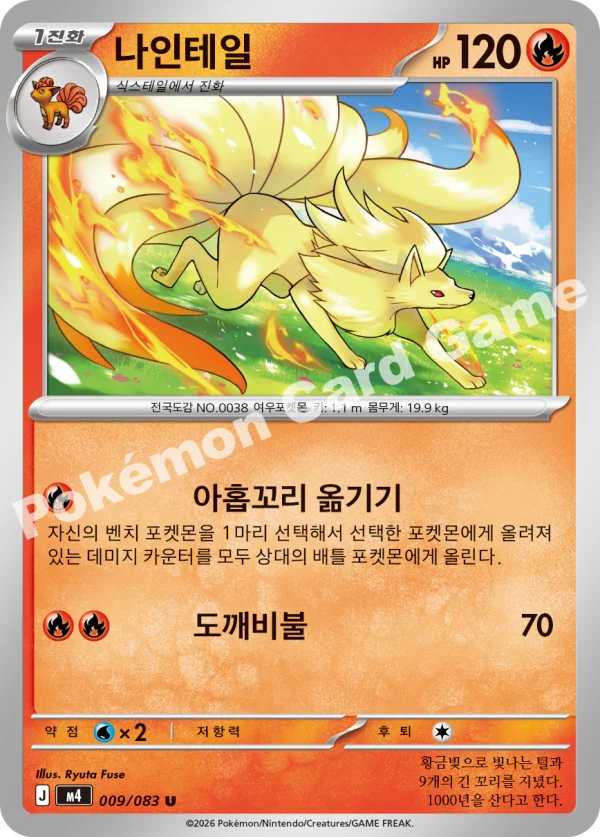 나인테일