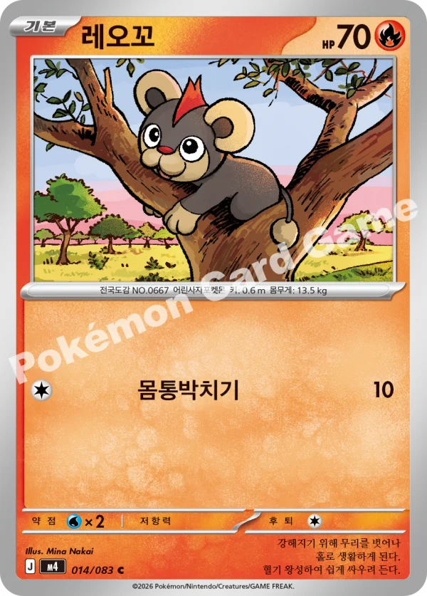 레오꼬