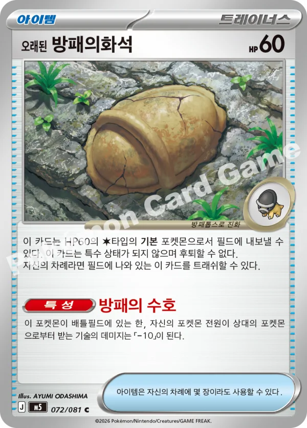 오래된 방패의화석
