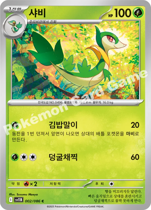 샤비