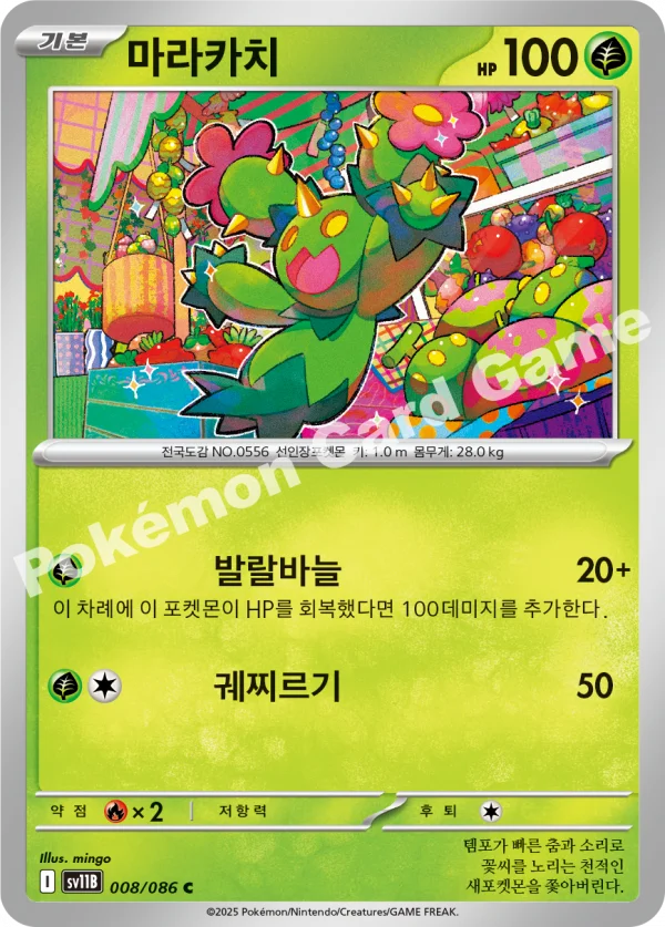 마라카치
