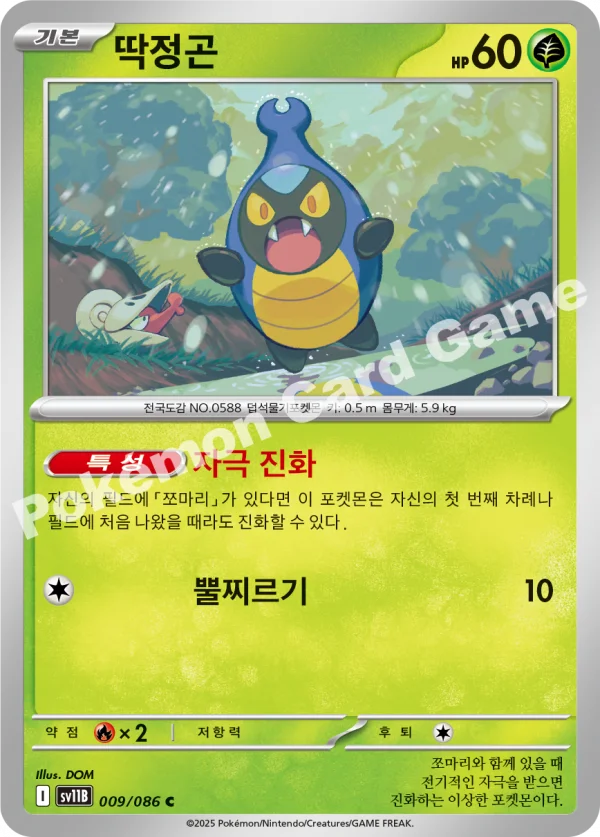 딱정곤