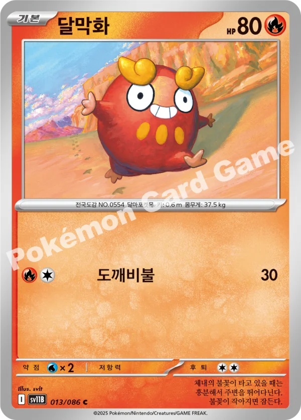 달막화