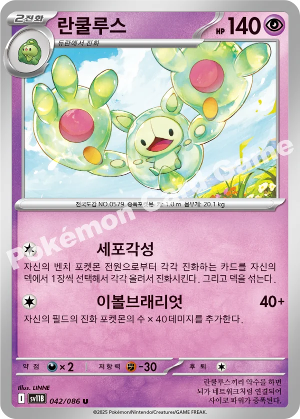 란쿨루스