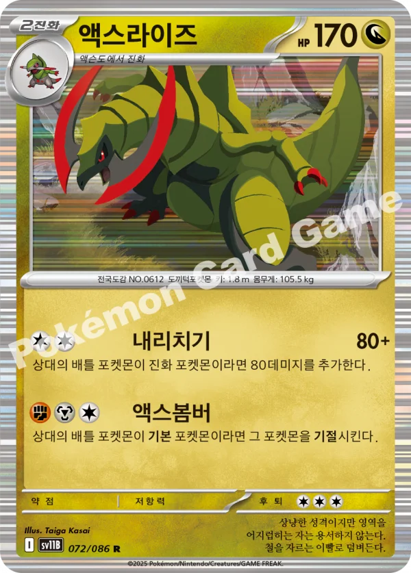 액스라이즈