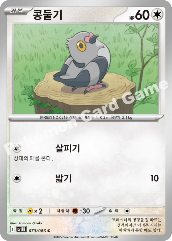 콩둘기