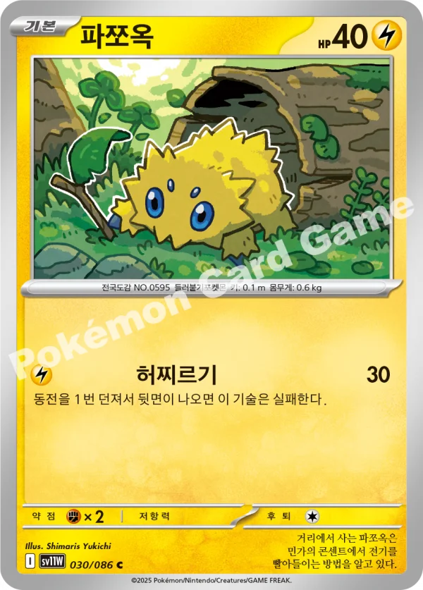 파쪼옥