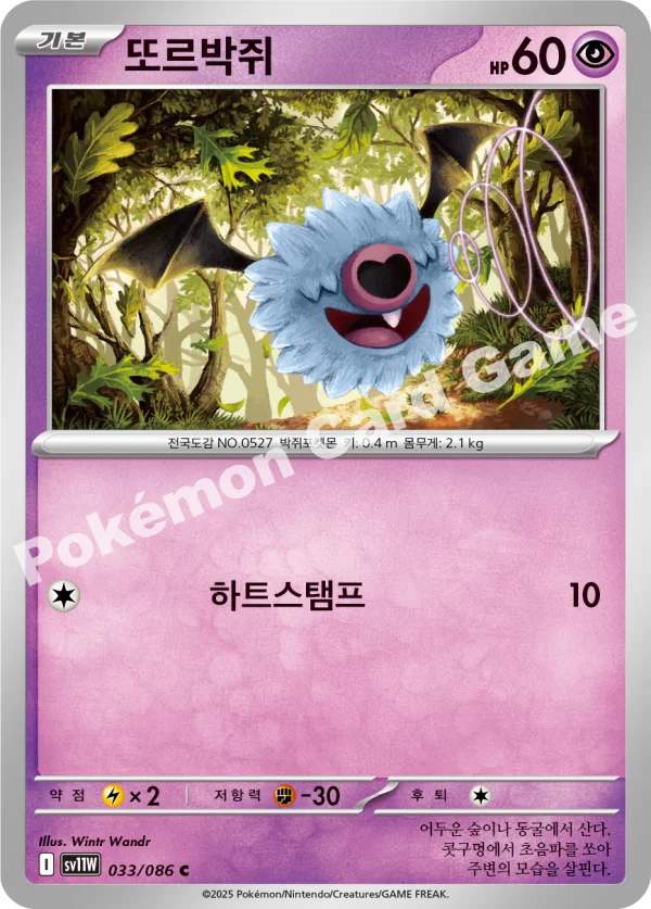 또르박쥐