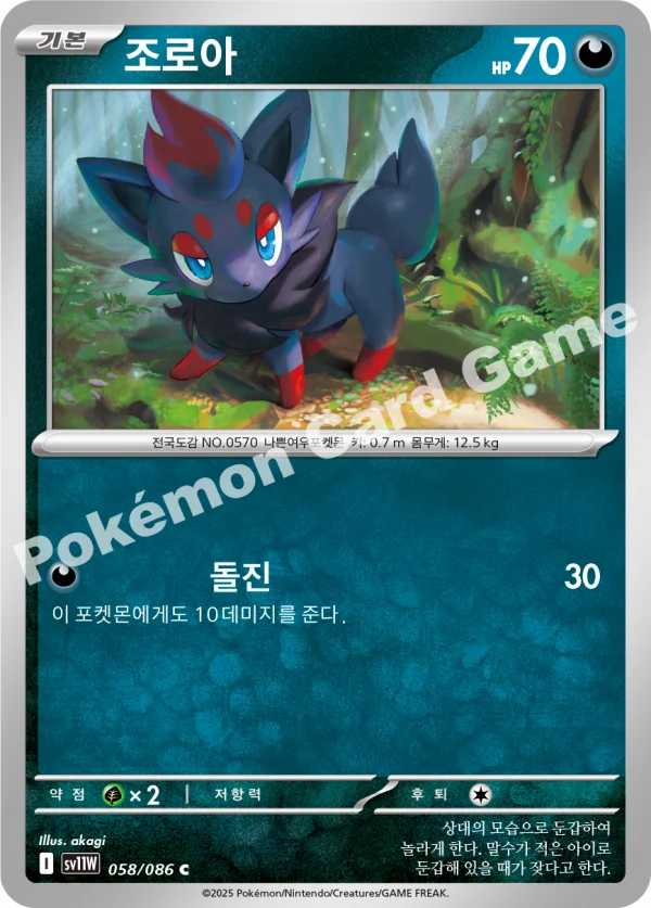 조로아
