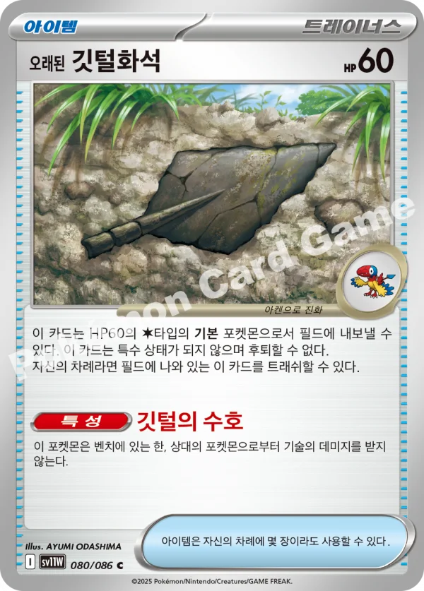 오래된 깃털화석
