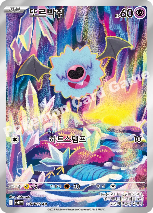 또르박쥐
