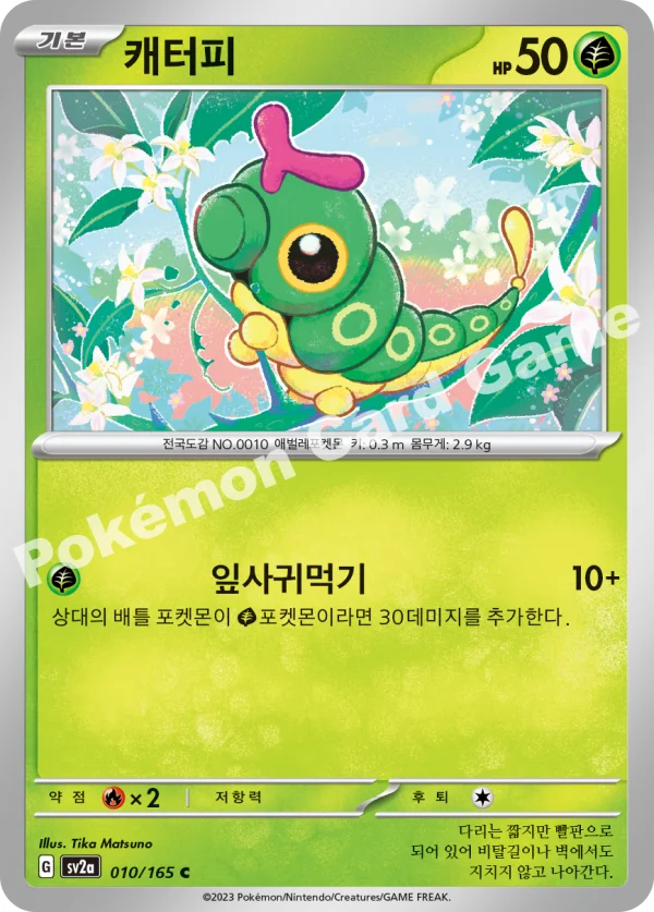 캐터피