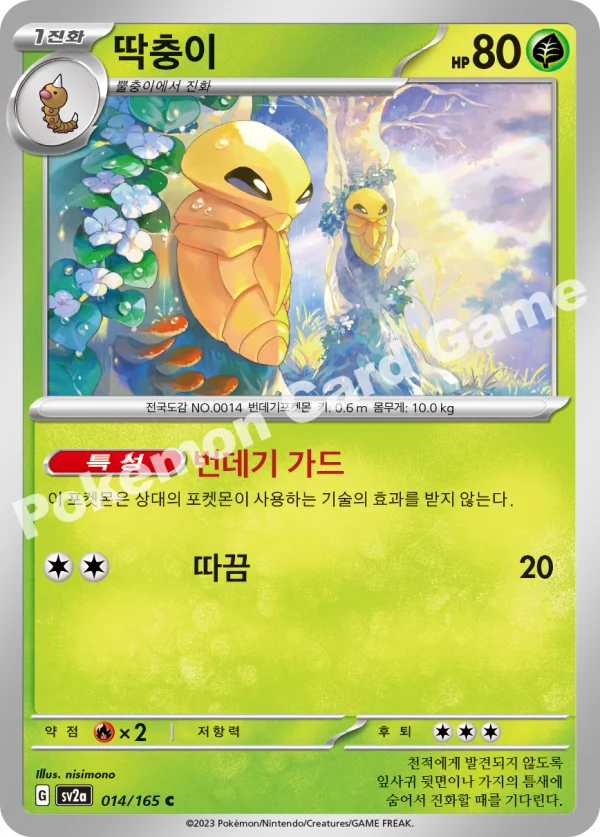 딱충이