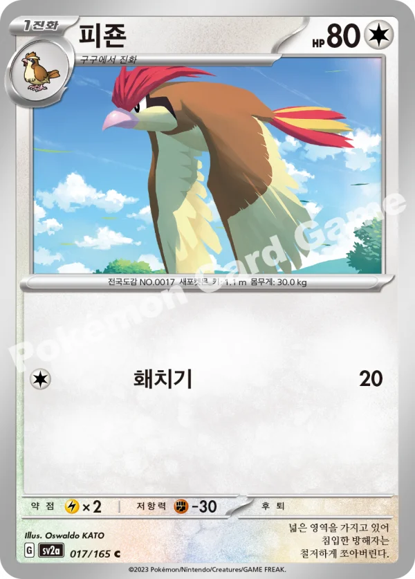피죤