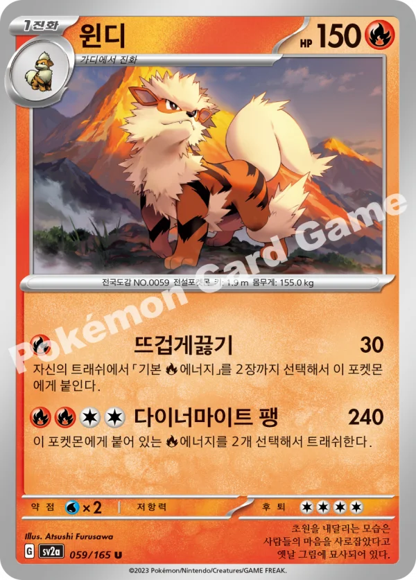 윈디