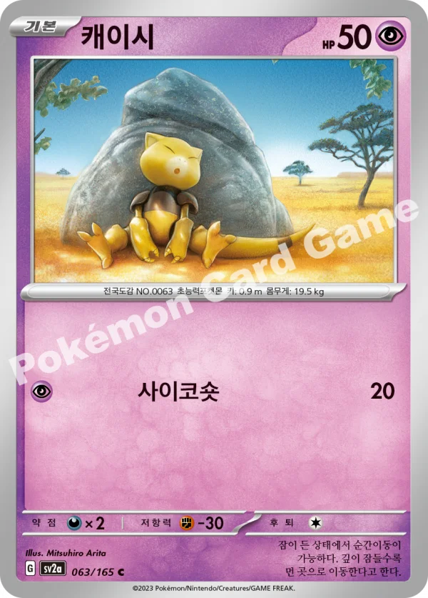 캐이시