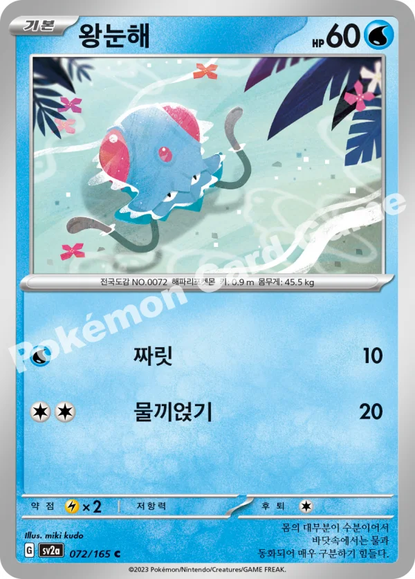 왕눈해