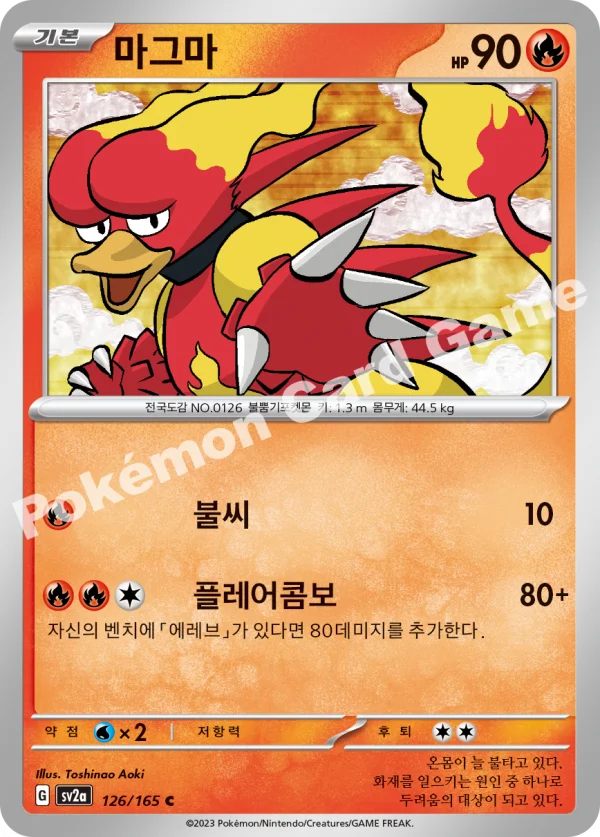 마그마