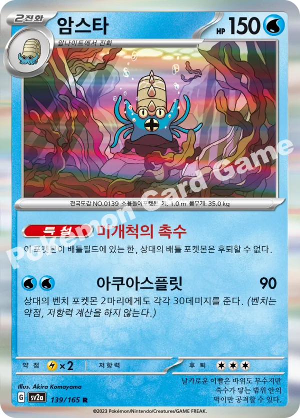 암스타
