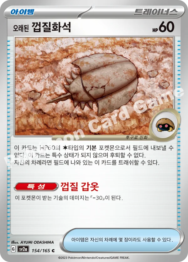 오래된 껍질화석