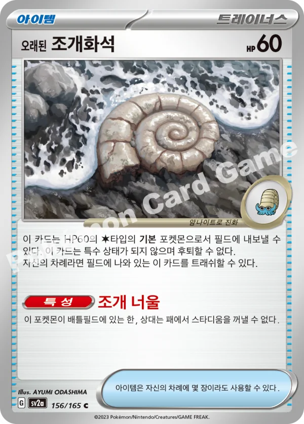 오래된 조개화석