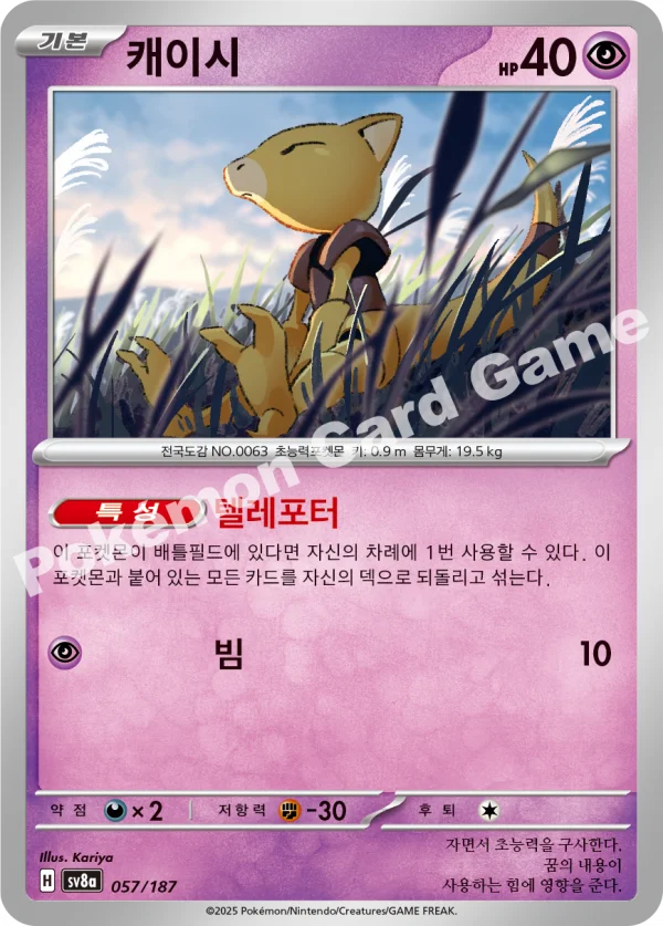 캐이시