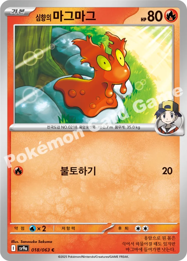 심향의 마그마그