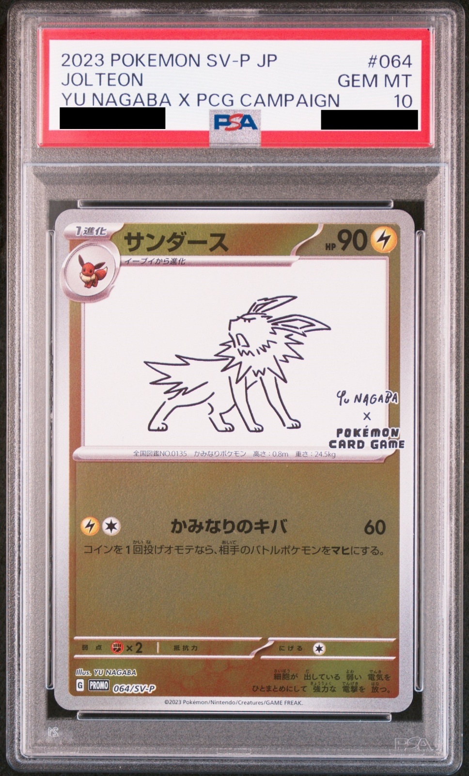 サンダース (Yu Nagaba × PCG)